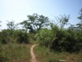 /album/photogallery/acacia-area-makasutu-jpg/